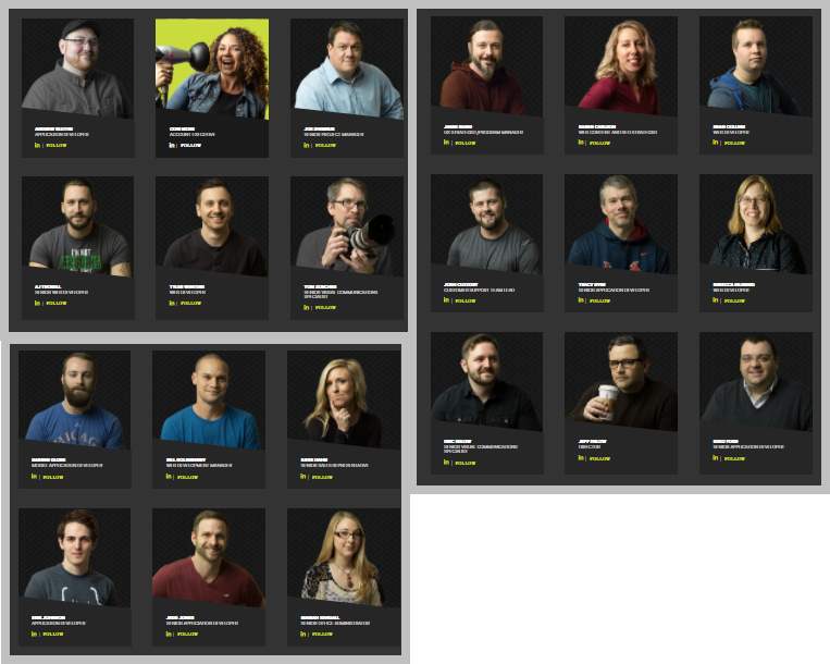 A composite image of the LRS Web Solutions staff